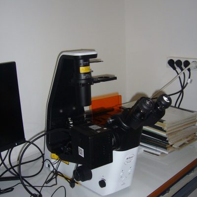 P1100768