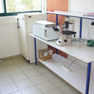 P1100770