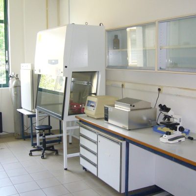 P1100777