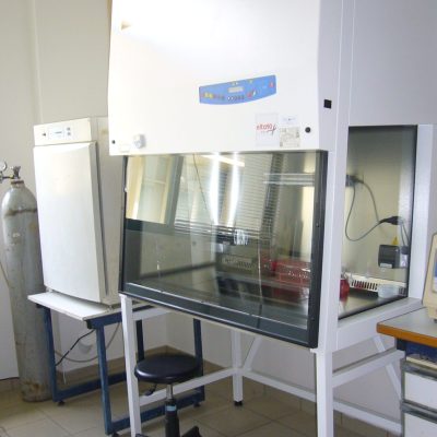 P1100778