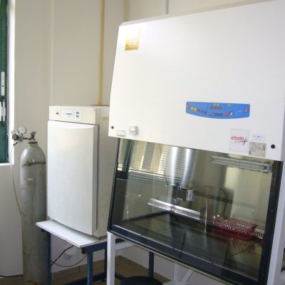 P1100779