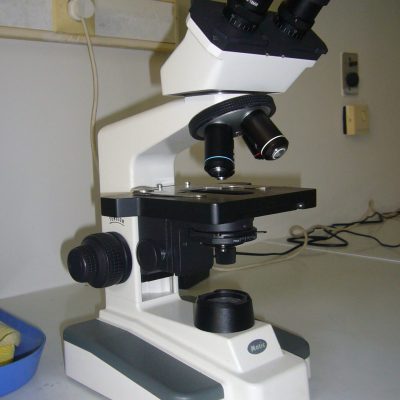 P1100781