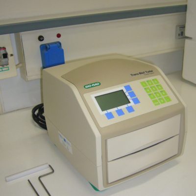 P1100785