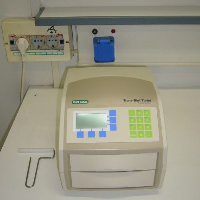 P1100786