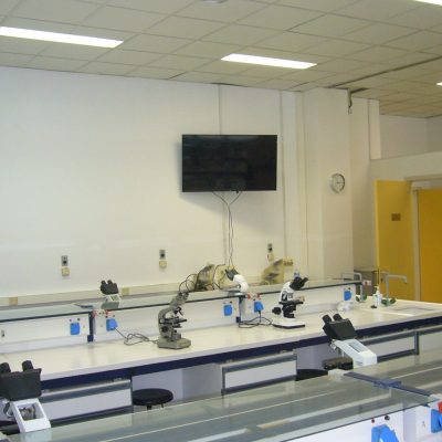 P1100793